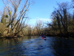 Groschenwasser, Februar 2026